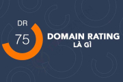 Domain Rating Là Gì? Hướng Dẫn Chi Tiết Cách Kiểm Tra Và Tăng Chỉ Số DR Hiệu Quả Năm 2025