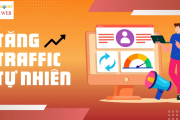 Tăng Traffic Tự Nhiên: 7 Chiến Lược Không Cần Ads